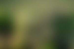 Фотография квиза Эйнштейн party от компании Эйнштейн party (Фото 1)