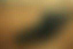 Фотография квеста Погребенный заживо от компании выХод (Фото 1)